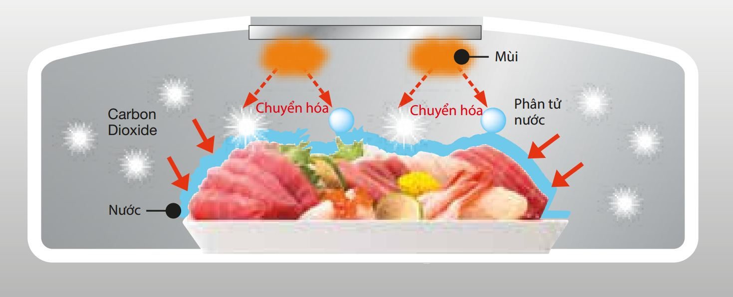 2. Chất xúc tác Platinum gây ức chế hoạt động của các enzym và giữ cho thực phẩm luôn được tươi ngon 