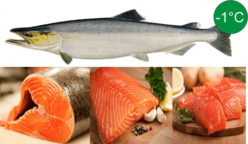 3. Hai mức nhiệt độ phù hợp nhất với thực phẩm