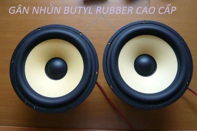 2. Loa Arirang có tốt không?