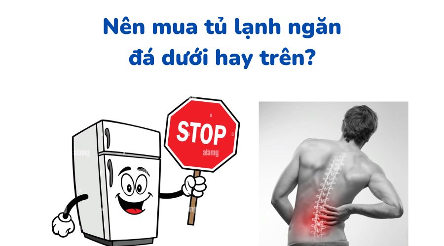 Nên mua tủ lạnh ngăn đá trên hay dưới: So sánh loại nào tốt?