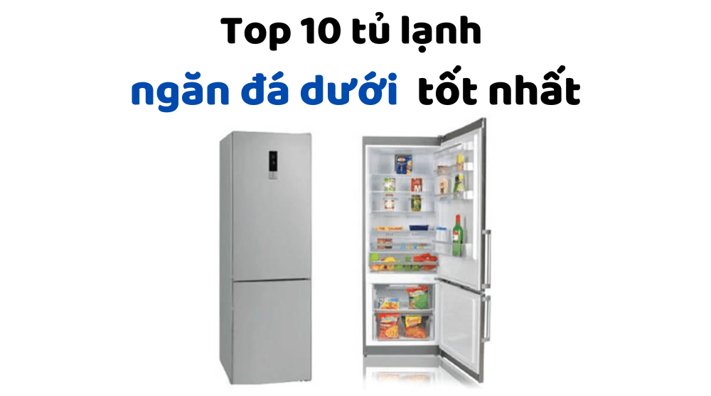 Top 10 Tủ Lạnh Ngăn đá Dưới Tốt Nhất