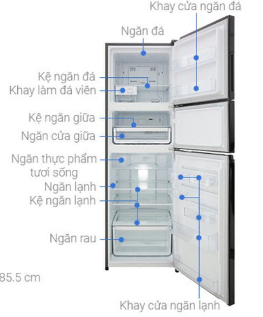 Các Bộ Phận Tủ Lạnh Electrolux 3 Ngăn