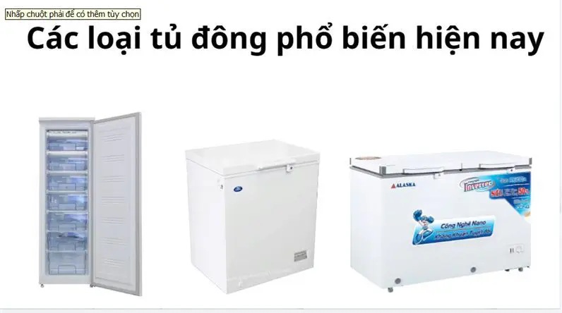 phân loại tủ đông
