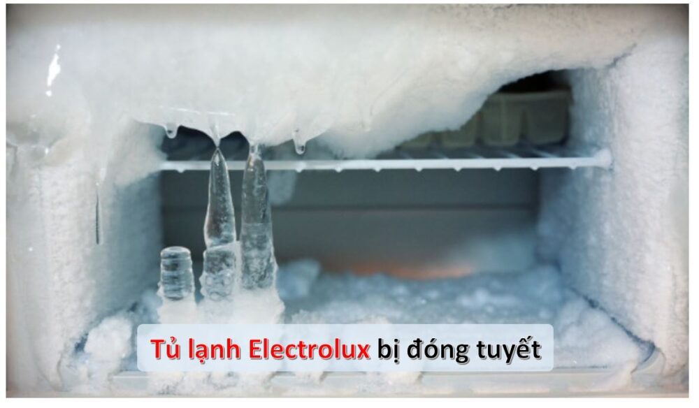 Tủ lạnh Electrolux bị đóng đá ngăn mát