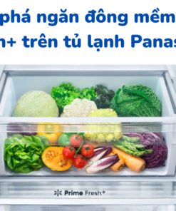 Khám phá ngăn đông mềm Prime Fresh+ trên tủ lạnh Panasonic
