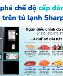 Khám phá ngăn đông mềm tủ lạnh Sharp