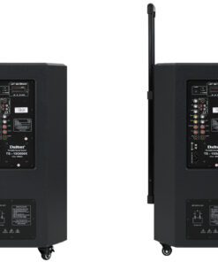 Loa kéo Karaoke Dalton TS-15G600X 600W - hình số 3