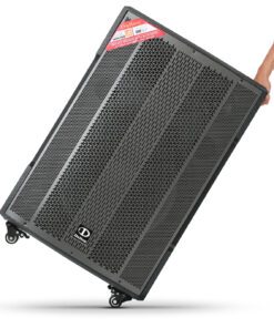 Loa Karaoke Dalton TS-18G850X - hình số 7