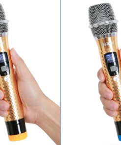 Loa Karaoke Dalton TS-18G850X - hình số 6