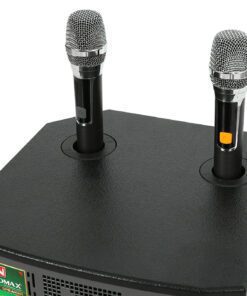 Loa kéo Karaoke Nanomax S-820 - hình số 9