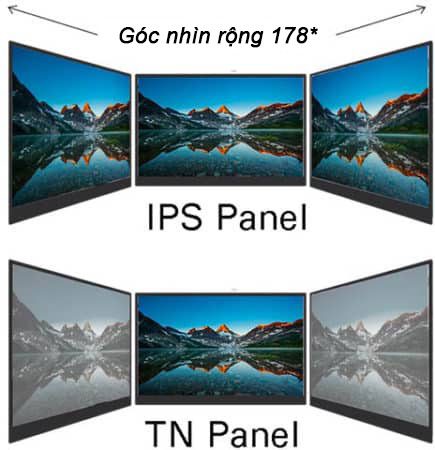 Phân biệt tấm nền TN và IPS