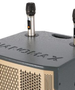 Loa kéo Karaoke Nanomax S-1000 450W - hình số 9