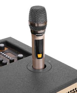 Loa kéo Karaoke Nanomax S-900 - hình số 9