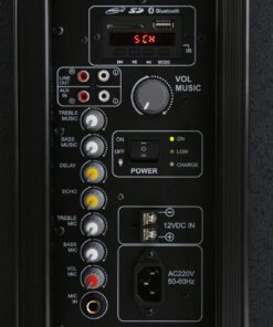 Loa kéo Karaoke Dalton TS-12G450X - hình số 6