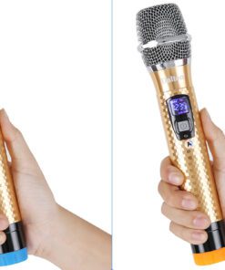 Loa kéo Karaoke Dalton TS-12G450X - hình số 9