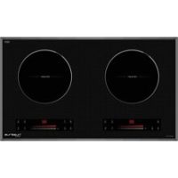 Bếp từ âm đôi Eurosun EU-T210Note - hình số 1