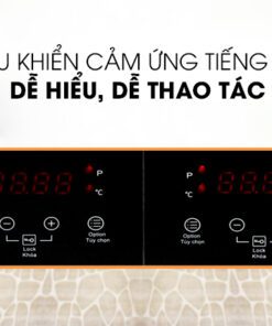 Bếp từ 2 vùng nấu TeKa DS3502-P - hình số 4