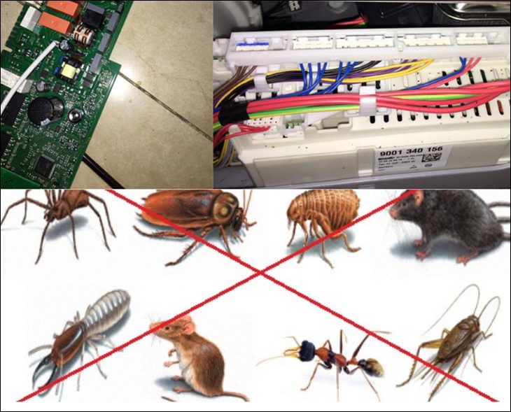 Các loài côn trùng thường là thủ phạm gây hỏng bo mạch máy giặt aqua