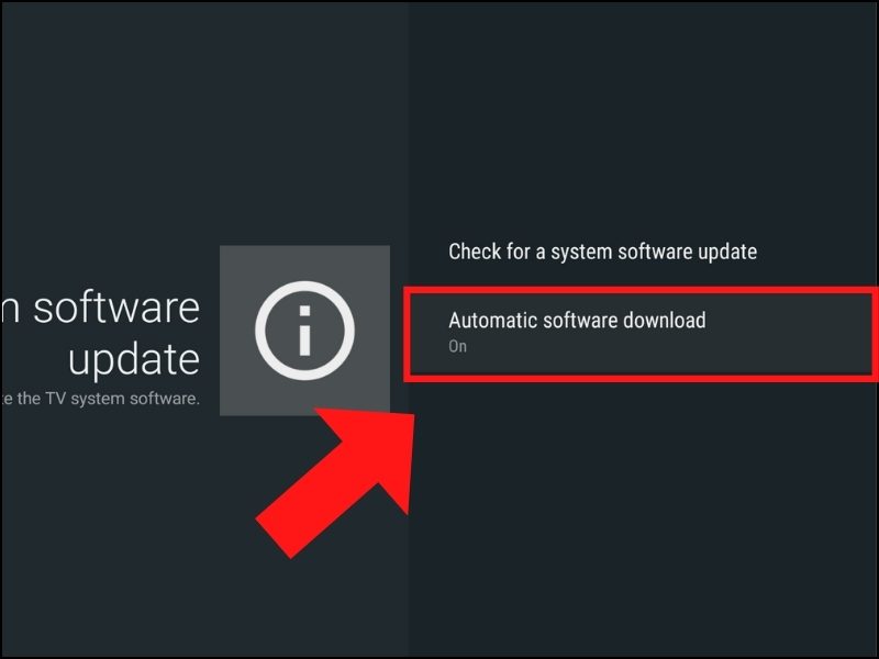 Bật Automatically check for update (Tự động kiểm tra bản cập nhật). Bật Automatically check for update (Tự động kiểm tra bản cập nhật).