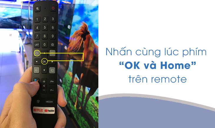 Hướng dẫn các bước điều khiển tivi TCL bằng giọng nói