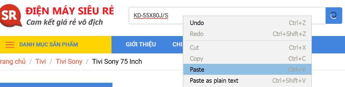 dán-paste mã model vào thanh tìm kiếm của dienmaysieure.vn
