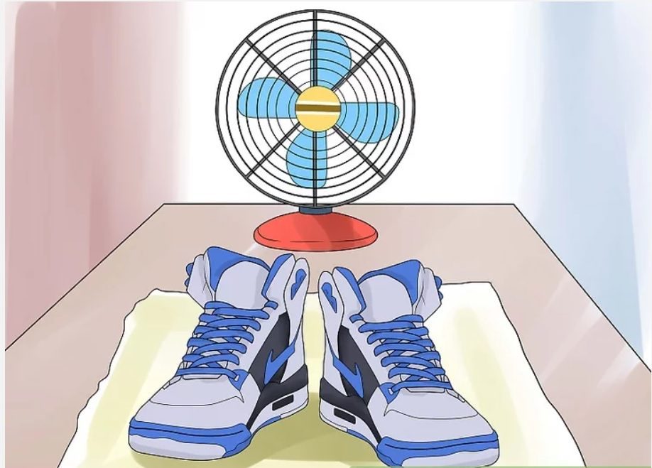 Làm khô giày bằng quạt