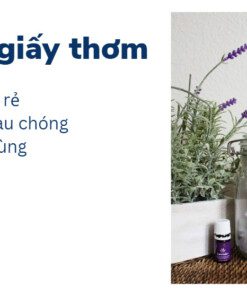 Tự làm giấy thơm