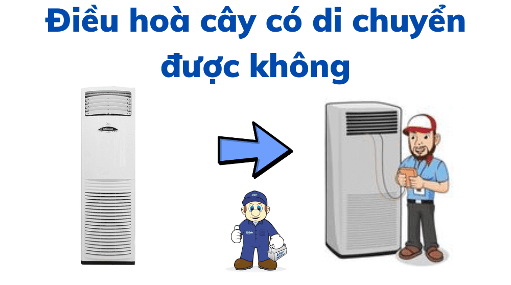 Điều Hoà Cây Có Di Chuyển được Không