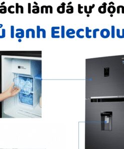 Cách Làm đá Tự động Tủ Lạnh Electrolux