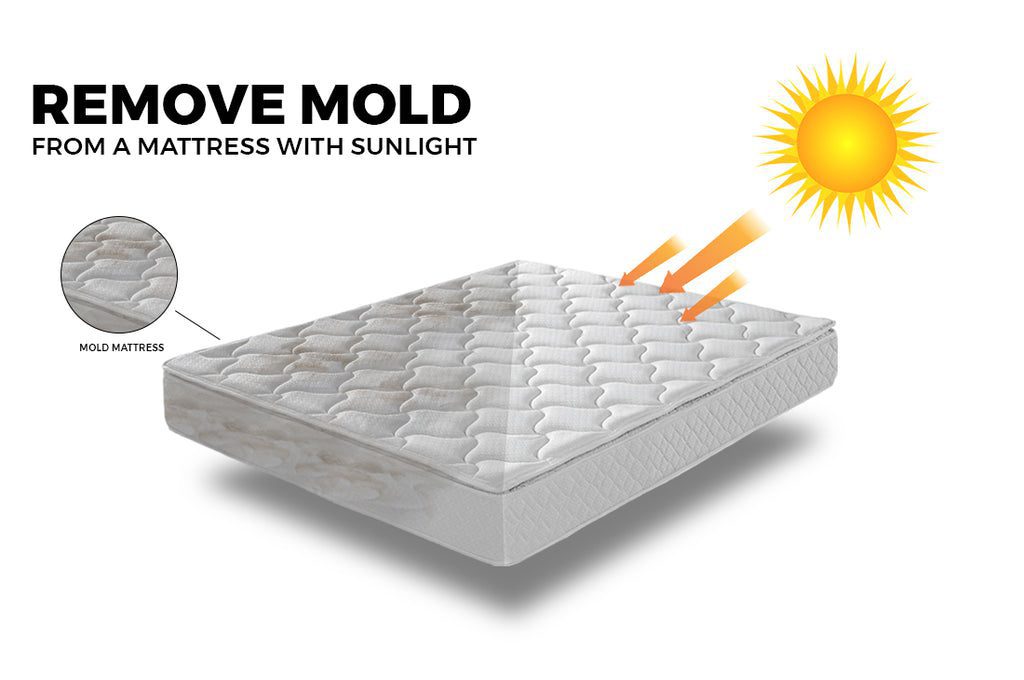 Phơi khô dưới ánh nắng mặt trời