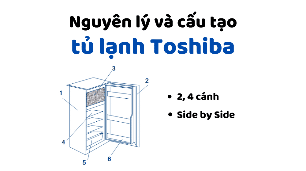 Nguyên Lý Và Cấu Tạo Tủ Lạnh Toshiba
