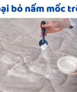 Cách xử lý nệm bị nấm mốc hiệu quả