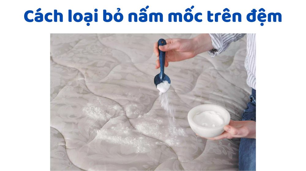 Cách xử lý nệm bị nấm mốc hiệu quả