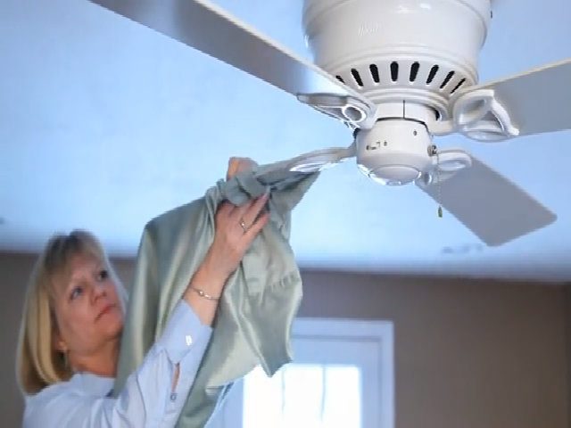 Chỉ tập trung vào bụi ở tầm mắt