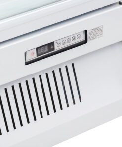 Tủ đông Alaska IF-1100G3 - hình số 3