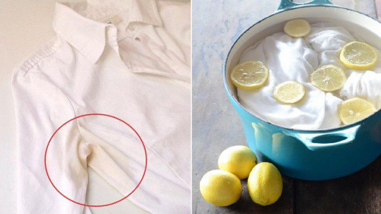 Cách tẩy áo trắng bị ố vàng bằng chanh