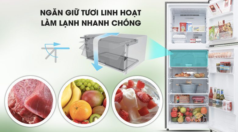 Ngăn giữ lạnh tươi Tủ lạnh Sharp