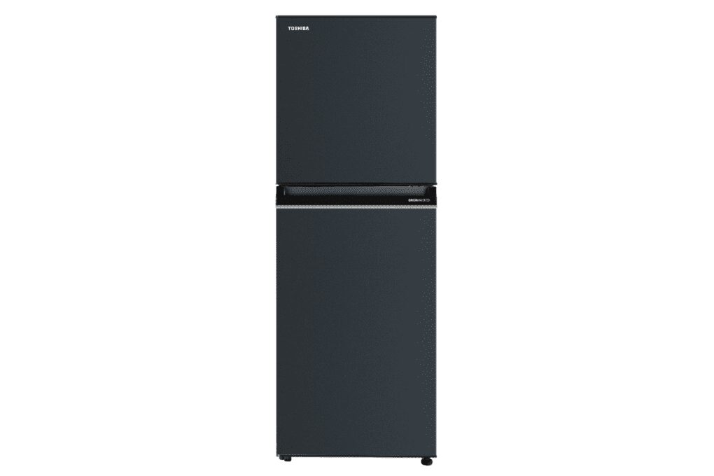 Tủ lạnh Toshiba GR-RT252WE-PMV(52) - hình số 1