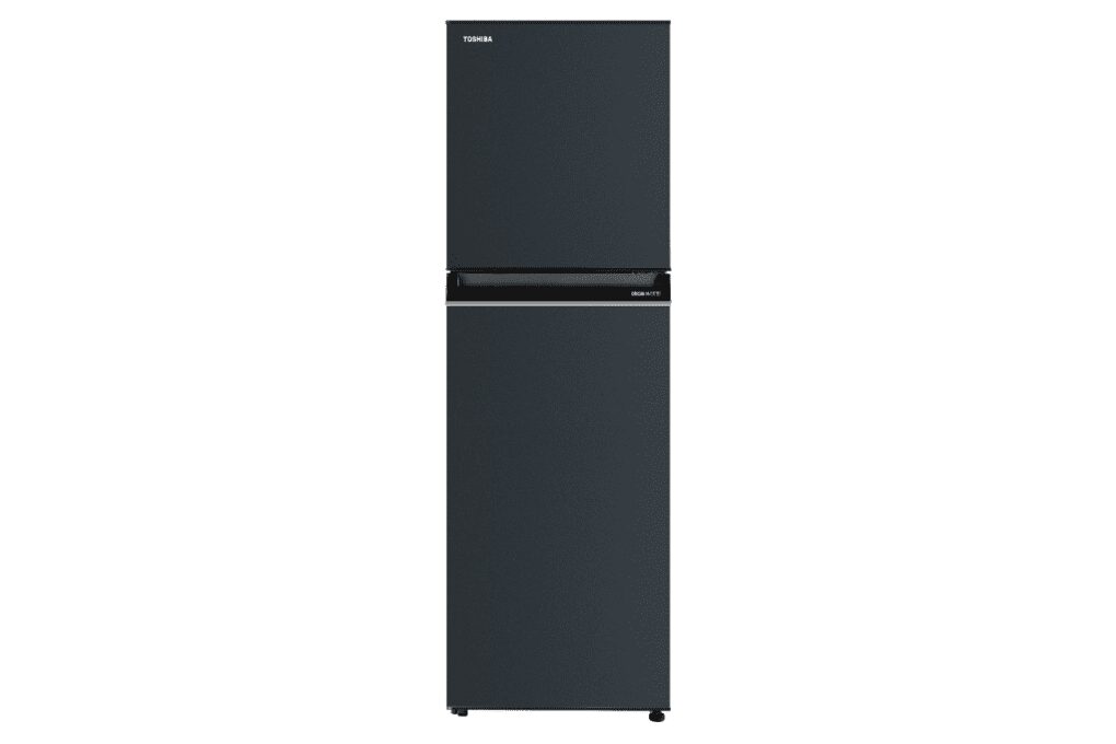 Tủ lạnh Toshiba GR-RT303WE-PMV(52) - hình số 1