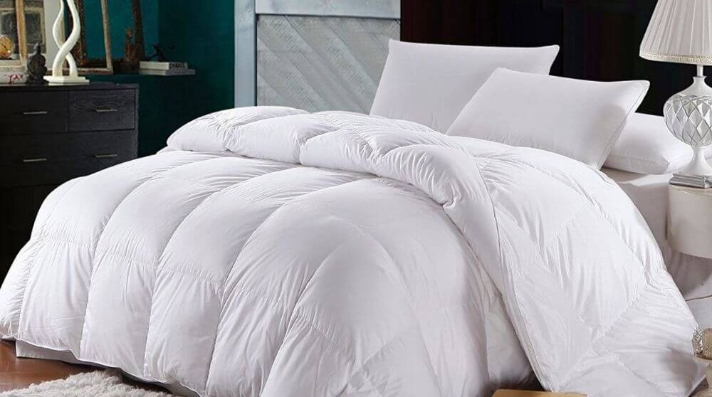 So sánh chăn lông vũ và chăn bông