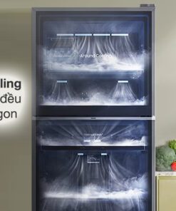 Tủ lạnh Samsung RT42CG6584B1SV - hình số 5