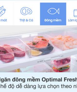 Tủ lạnh Samsung RT42CG6584B1SV - hình số 4