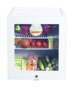 Tủ mát Sanaky VH-60KL - hình số 1