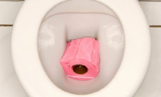 Khi bồn cầu bị nghẹt giấy nó có tự thông được hay không?