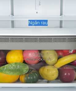 Tủ lạnh Electrolux EBB3702K-A - hình số 5