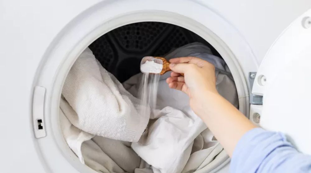 loại bỏ nấm mốc trên quần áo để loại bỏ dị ứng