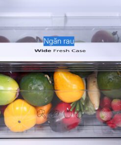 Tủ lạnh Panasonic NR-TL381VGMV - hình số 6