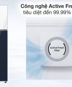 Tủ lạnh Samsung RT47CB66868ASV - hình số 2