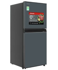 Tủ lạnh Toshiba GR-RT234WE-PMV(52) - hình số 2