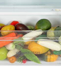 Tủ lạnh Toshiba GR-RT535WEA-PMV(06)-MG - hình số 14